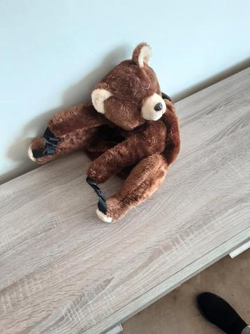 Berenrugzakhug pet beschikbaar voor biedingen