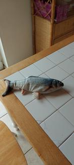 Poisson pour chat, Ophalen