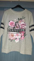 truitje Kiabi: xl, Kleding | Dames, Truien en Vesten, Kiabi, Ophalen of Verzenden, Gedragen, Maat 46/48 (XL) of groter