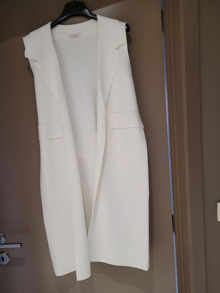 vest zonder mouwen, Kleding | Dames, Truien en Vesten, Nieuw, Maat 36 (S), Overige kleuren, Ophalen