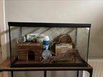 Glazen hamster/gerbil kooi met benodigdheden, Enlèvement, Utilisé, Cage, Hamster