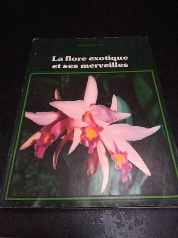 La flore exotique et ses merveilles 