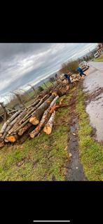 Hard hout (eiken, beuken, essen, haagbeuk), Tuin en Terras, Brandhout, Ophalen, Beukenhout