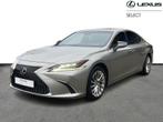 Lexus ES 300h Privilege Line & Roof & Mark L, Argent ou Gris, 2487 cm³, 4 portes, Entreprise