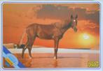 Puzzel Paard 500 stukken, Ophalen of Verzenden, 500 t/m 1500 stukjes, Zo goed als nieuw, Legpuzzel