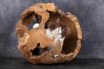 Teak Erosie Bal d50cm, Dieren en Toebehoren, Ophalen, Zo goed als nieuw