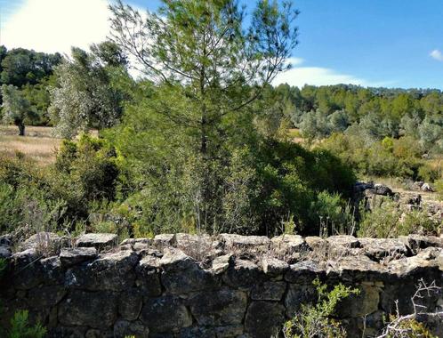 Finca in Calaceite (Aragón, Spanje) - 0940, Immo, Buitenland, Spanje, Overige soorten, Landelijk