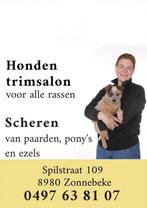 Scheren van paarden pony en ezels en hondentrimsalon, Dieren en Toebehoren