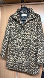 Winterjas maat medium, Overige kleuren, Tom Tailor, Zo goed als nieuw, Ophalen