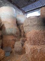 Hooi en stro, Dieren en Toebehoren, Dierenvoeding, Ophalen of Verzenden