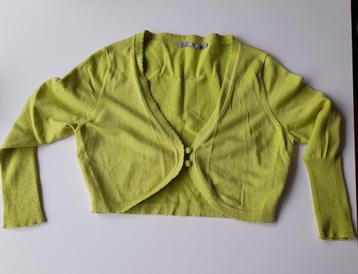 Appelgroene bolero – maat XS – merk: Inwear beschikbaar voor biedingen