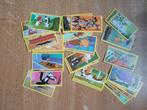 30 Cartoon Picture Cards  Candy Sticks  Looney Tunes, Comme neuf, Enlèvement ou Envoi