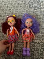 Enchantimals Tienerpop Danessa Deer Meisjes, Kinderen en Baby's, Speelgoed | Poppen, Ophalen of Verzenden, Zo goed als nieuw