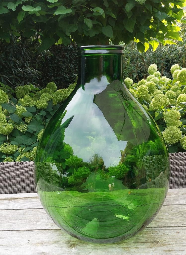 Planten terrarium, Ophalen