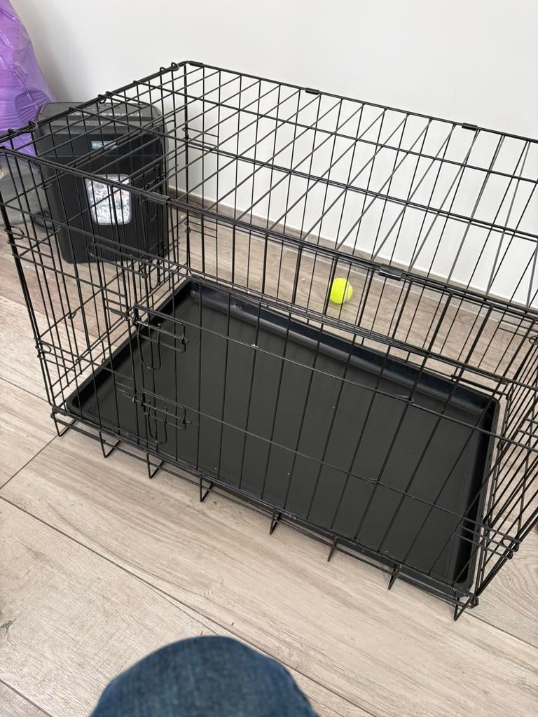 Chiens et, Enlèvement, Comme neuf