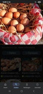 Scharreleieren ( dagverse), Diversen, Levensmiddelen, Ophalen