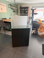 Scaper aquarium 60x40x38, Dieren en Toebehoren, Ophalen, Zo goed als nieuw