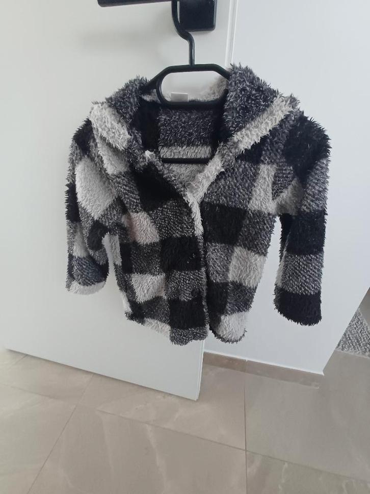 Geruite teddy jas (mt 110 ), Kinderen en Baby's, Kinderkleding | Maat 110, Gebruikt, Meisje, Jas, Ophalen of Verzenden