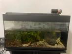 Aquarium avec poissons, armoire et ensemble complet, Enlèvement, Comme neuf