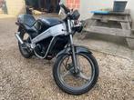 Suzuki RG 50 Wolf, 6 versnellingen, 49 cc, Klasse B (45 km/u), Ophalen