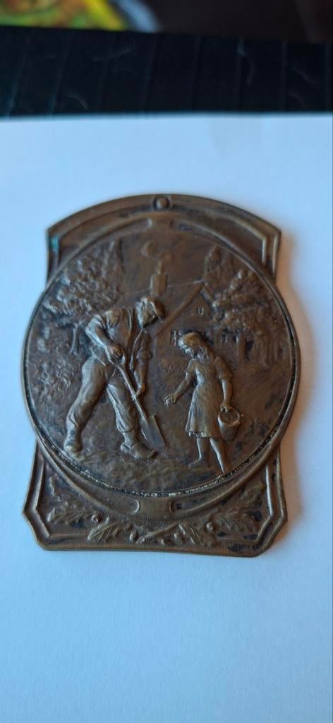 Bronzen medaille/ penning Luik, Ophalen of Verzenden