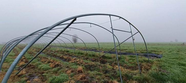 Tunnelserre Bruneel met bogen 54m lang, Articles professionnels, Agriculture | Outils, Culture de fruits, Légume de pleine terre