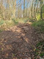 Gratis hakselhout 2025, Enlèvement ou Envoi