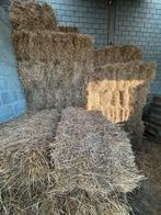 Kleine pakken hooi, Animaux & Accessoires, Chevaux