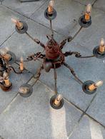 Antieke lusters, Ophalen