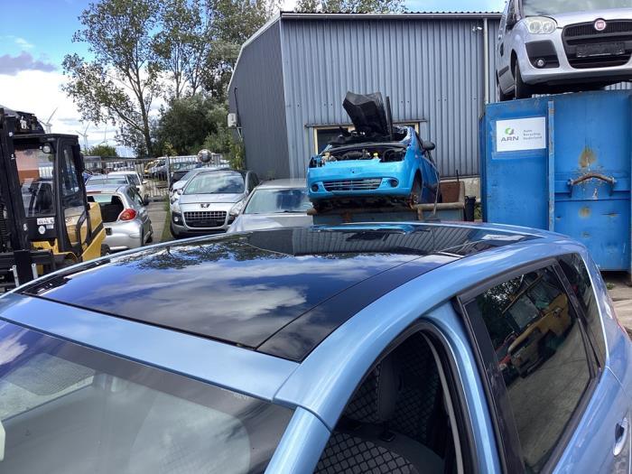 Toit panoramique d'un Renault Scenic (TERPA), Autos : Pièces & Accessoires, Renault, -, 3 mois de garantie, Utilisé