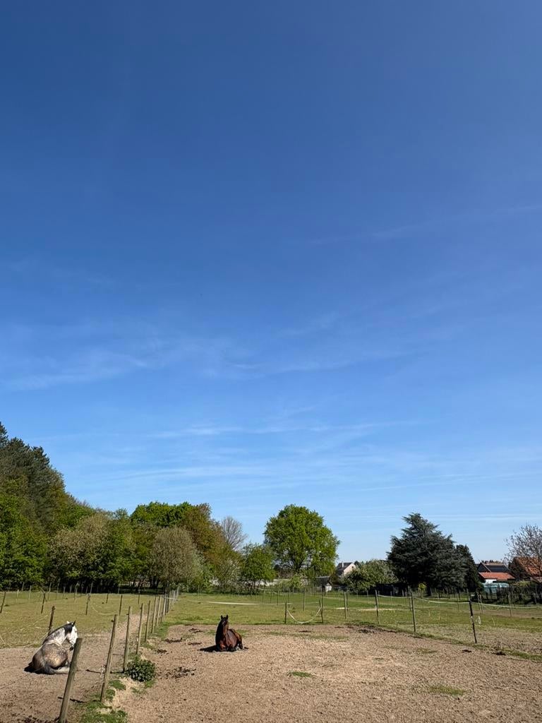 Stalling te huur, Stalling