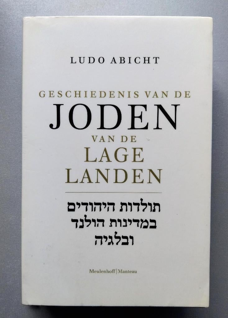 Geschiedenis Van De Joden In De Lage Lande, Boeken, Ophalen of Verzenden, Nieuw