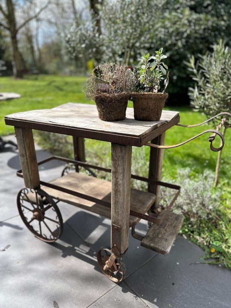 Rustieke vintage tuin trolley / serveerwagen hout en ijzer, Tuin en Terras, Tuinmeubel-accessoires, Zo goed als nieuw, Ophalen