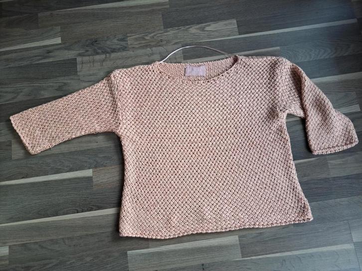 Axiome, trui met zilverdraad, S/M, Kleding | Dames, Truien en Vesten, Zo goed als nieuw, Maat 36 (S), Roze, Ophalen of Verzenden