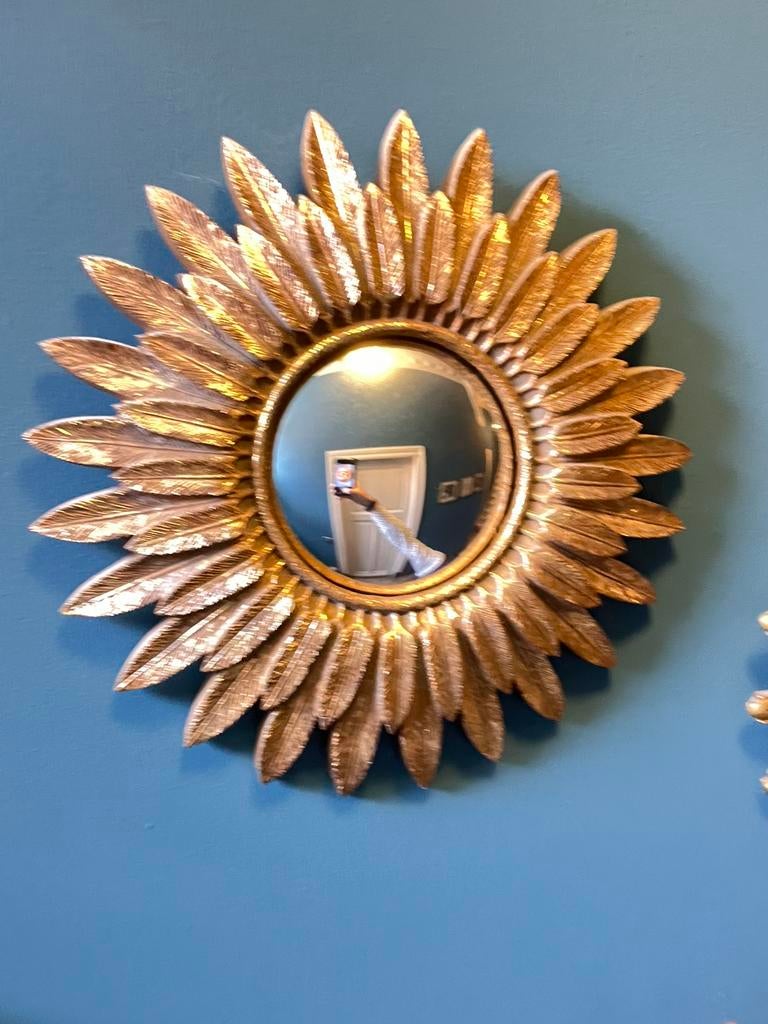 Zonnespiegel 32 cm, Ophalen, Minder dan 50 cm