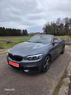 Bmw 218 cabrio, Autos, Achat, Boîte manuelle, Particulier, Essence