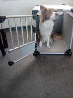 Hondebench, Enlèvement