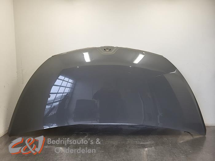 Motorkap van een Renault Trafic (OVKPF), Gebruikt, -, Renault, -