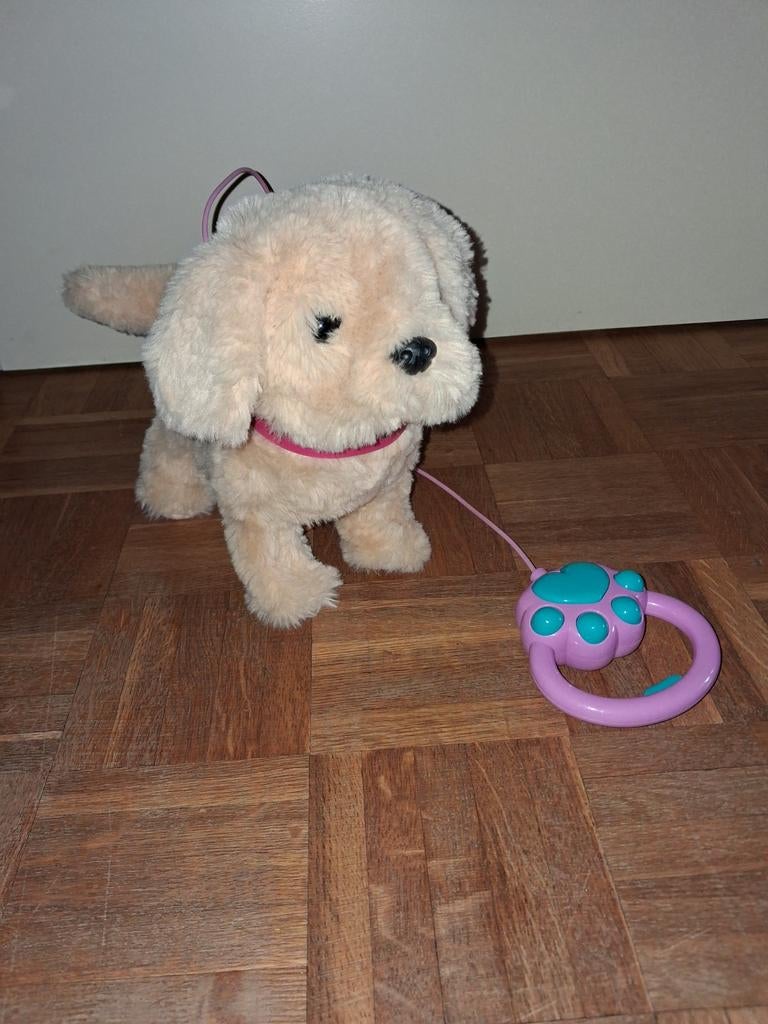 Wandelende en blaffende hond, Ophalen, Hond