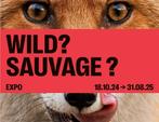 4 e-tickets voor de SAUVAGE-tentoonstelling? Instituut voor, Tickets en Kaartjes