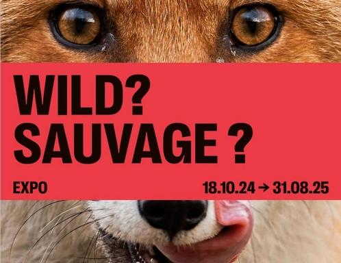 4 e-tickets voor de SAUVAGE-tentoonstelling? Instituut voor, Tickets en Kaartjes, Beurzen