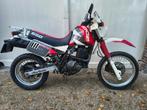 Suzuki DR650 Dakar, Entreprise, 640 cm³, 1 cylindre