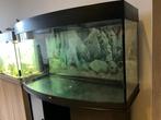 JUWEL Aquarium Vision 180 met onderkast zeer compleet, Dieren en Toebehoren, Ophalen, Gebruikt, Leeg aquarium