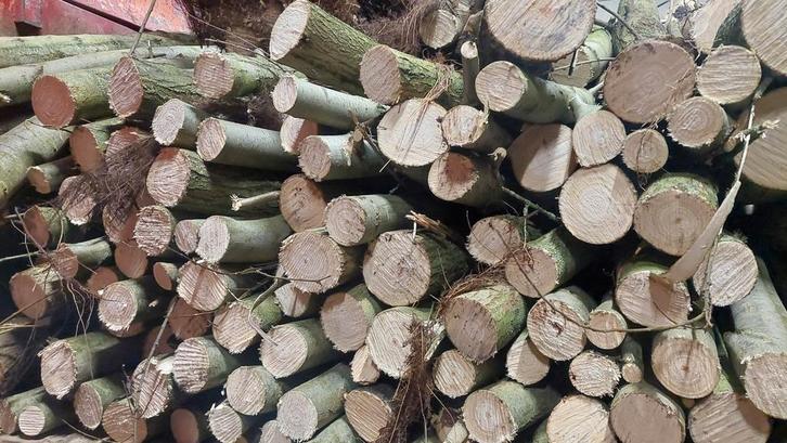 Brandhout wilg, Tuin en Terras, Brandhout, Ophalen