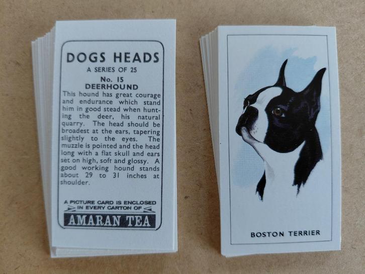 Dogs Heads complete set 25 honden chromos Amaran Tea 1965, Verzamelen, Foto's en Prenten, Prent, Dier, 1960 tot 1980, Ophalen of Verzenden