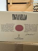 Tignanello 2019 6 flessen, Nieuw, Italië, Rode wijn, Vol