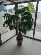 Nep plant, Ophalen