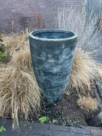 Bloempot, Enlèvement