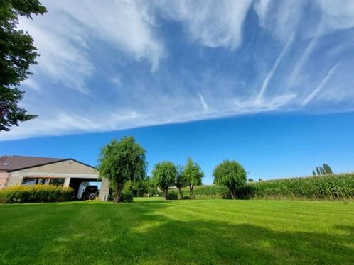 Gerenoveerde woning met ruime loods en werkhuis, Immo, Huizen en Appartementen te koop, Provincie Limburg, 1500 m² of meer, Woning met bedrijfsruimte