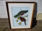 Trogon Collaris, naar een werk van Gould., Antiek en Kunst, Ophalen